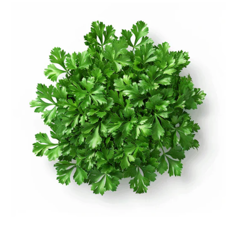 Parsley